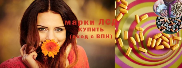 молекула духа Новозыбков