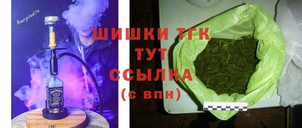 молекула духа Новозыбков