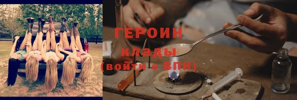 молекула духа Новозыбков