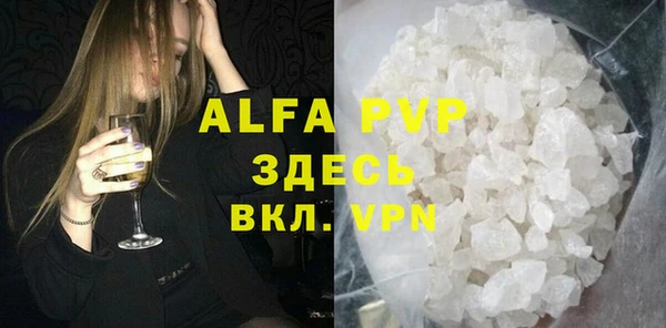 сатива Новокубанск