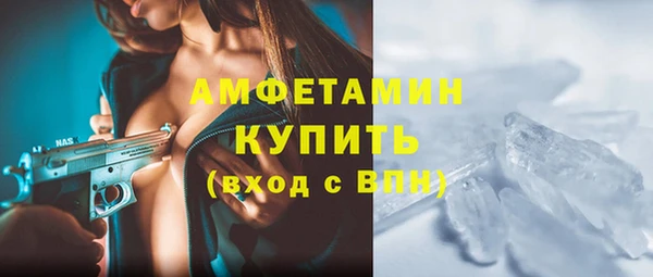 сатива Новокубанск