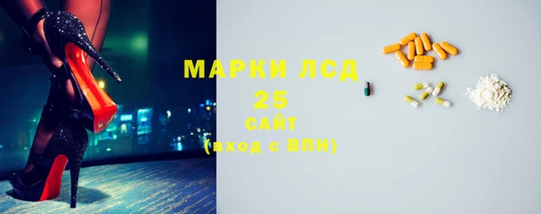 сатива Новокубанск