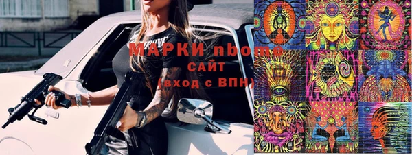 молекула духа Новозыбков