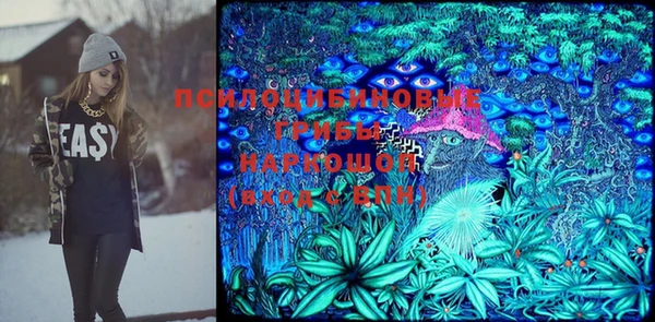 сатива Новокубанск