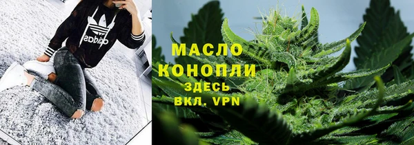 молекула духа Новозыбков