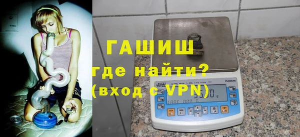сатива Новокубанск