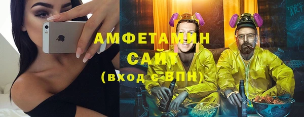 сатива Новокубанск