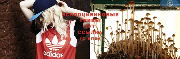 молекула духа Новозыбков