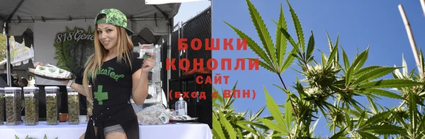 молекула духа Новозыбков