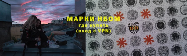 молекула духа Новозыбков