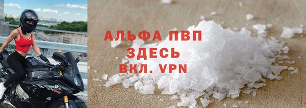 сатива Новокубанск