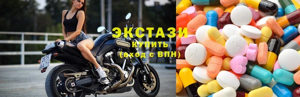 молекула духа Новозыбков