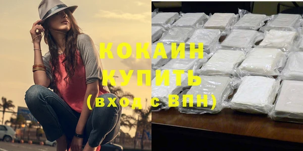молекула духа Новозыбков